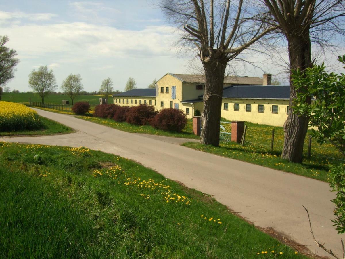 Holzblockhaus Alswinn Saal Exterior foto