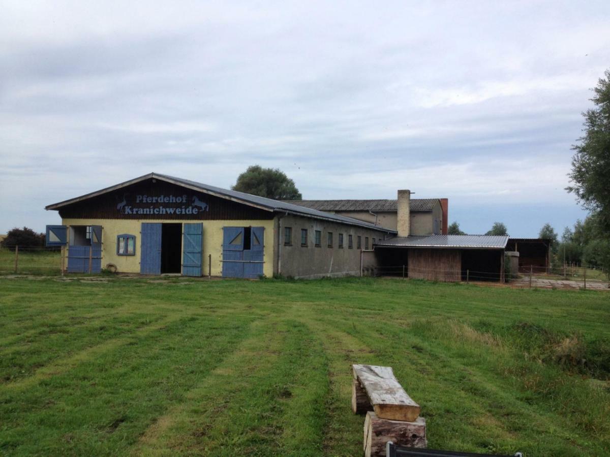 Holzblockhaus Alswinn Saal Exterior foto